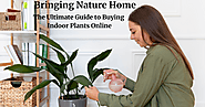 Bringing Nature Home : The Ultimate Guide to Buying Indoor Plants Online