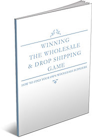 Winning The Wholesale & Dropshipping Game