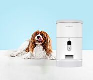 What Are The Benefits Of An Automatic/Smart Pet Feeder?