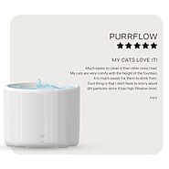 Smart Water Fountains: A Solution for Busy Pet Owners | Instachew