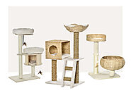 A Homely Addition for Your Pet Cats—Benefits of Having a Cat Tree