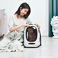 Pet carrier backpacks vs. Traditional pet carriers: Which one is better for traveling with your pet?