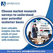 Ambivista: Elevate Your Launch with Precise Market Research