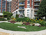 North York | Landcare | Toronto Landscaping & Lawn Care Services