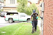 Top-Rated Ajax Lawn Care | 100% Satisfaction Guarantee | Free Estimates | Weed Control | Lawn Pest Control | Have A H...