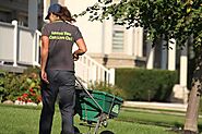 Oakville Lawn Care: 100% Satisfaction Guarantee | Free Estimates on Lawn Maintenance & Weed Control Oakville