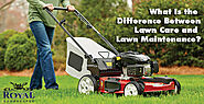 What Is the Difference Between Lawn Care and Lawn Maintenance? | Royal Landscapes