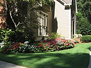 Lawn Maintenance Marietta, GA | Landscape Maintenance | C&M Residential