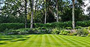 Lawn Care Services & Treatments in Cambridge | GreenThumb