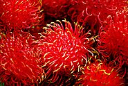 Rambutan