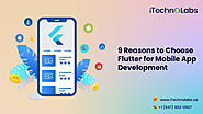 9 Reasons to Choose Flutter for Mobile App Development