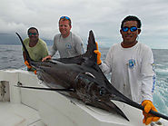 Marlin Fishing Quepos at Queposfishingpackages.com