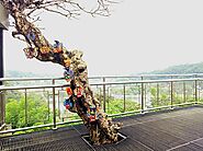 Kandy Viewpoint