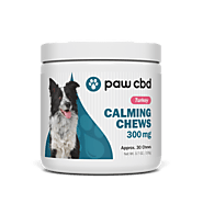 Let Your Pooch Enjoy Great Health! Get CBD Soft Chews for Dogs from the Hemp Pharmacist