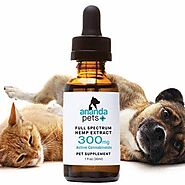 Give Your Pet the Treat of Good Health with Ananda Hemp Pets Tinctures