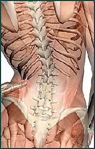 Low Back Pain Burlington, Lower Back Pain Williston, Exercises for Low Back Pain Essex