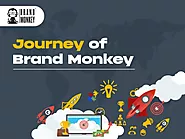 Digital marketing agency in Noida - Brand Monkey