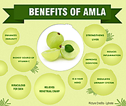 Amla-A Treasure of Health Benefits