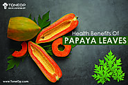 Health Benefits of Papaya Leaves