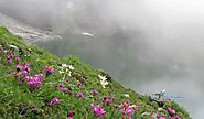 Valley of Flowers India National Park Trekking And Tourism Guide 2024