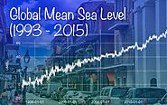 Sea Level Tweet by Aaron Blum(@AaronBlum_J)