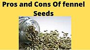 Pros and Cons of Eating Saunf ( Fennel Seeds)