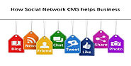 SocialEngine India - How Social Network CMS helps Business with Networking Website Development?