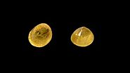 Buy yellow sapphire gemstone online in ahmedabad