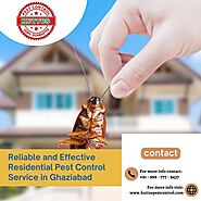 Reliable and Effective Residential Pest Control Service in Ghaziabad