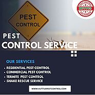 Pest Control Service in Muzaffarnagar