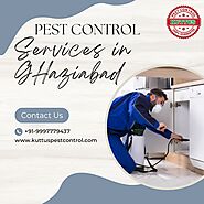 Commercial Pest Control Service Ghaziabad