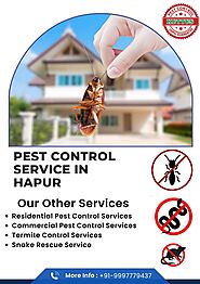 Pest Control Service in Hapur