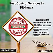 Professional Pest Control Service in Pilkhuwa