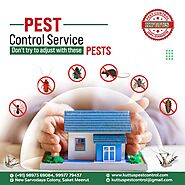 Pest Control Service Provider in Meerut