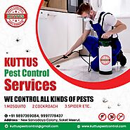 Residential Pest Control Service in Meerut by Kuttus Pest Control