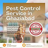 Professional Pest Control Service in Ghaziabad