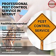 Professional Pest Control Service in Meerut