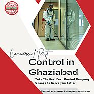 Commercial Pest Control Service in Ghaziabad