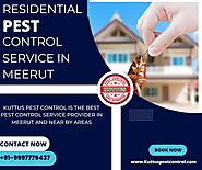 Residential Pest Control Service in Meerut