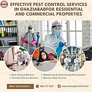 Effective Pest Control Service in Ghaziabad
