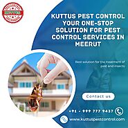 One Stop Solution For the Best Pest Control Service in Meerut