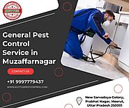 General Pest Control Service in Muzaffarnagar