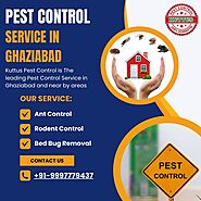 Pest Control Service in Ghaziabad