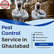 Pest Control Service in Ghaziabad