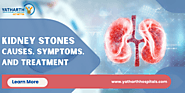 Kidney Stones: Causes, Symptoms, and Treatment Options - Yatharth Hospitals