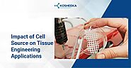 Impact of Cell Source on Tissue Engineering Applications