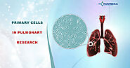 Primary Cells in Pulmonary Research - Kosheeka