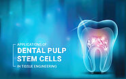 Applications of Dental Pulp Stem Cells in Tissue Engineering