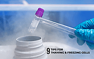 9 Tips for Thawing and Freezing Cells - Kosheeka