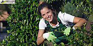 Professional Garden Clearance Services in Sutton for a Stunning Garden